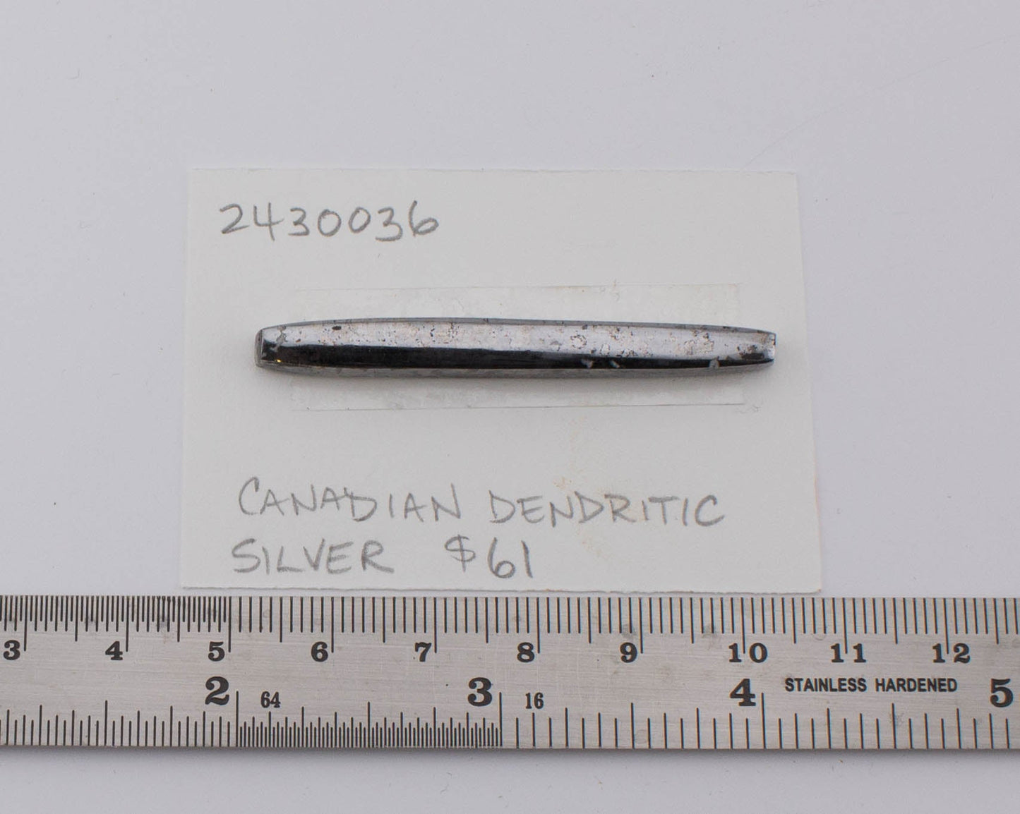 Canadian Dendritic Silver