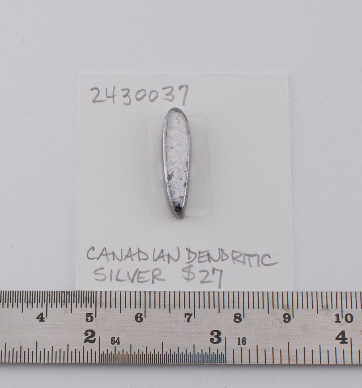 Canadian Dendritic Silver