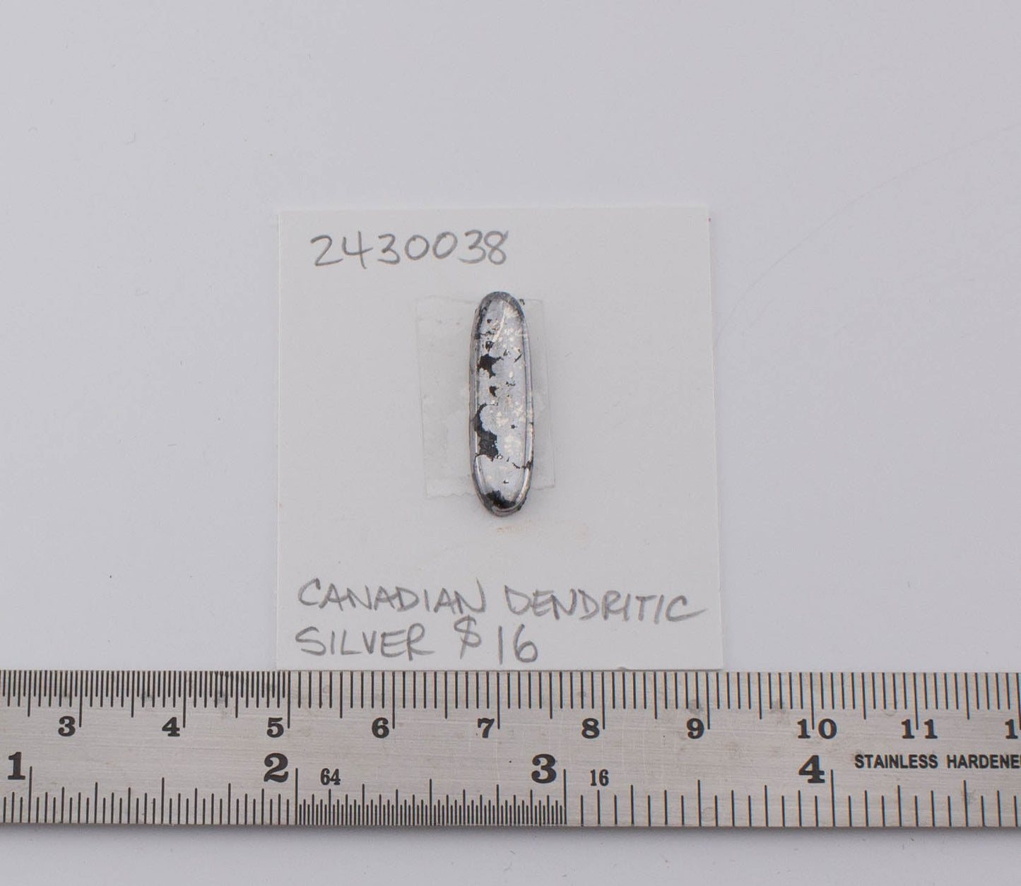 Canadian Dendritic Silver