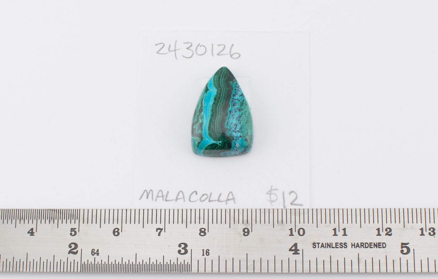 Malacolla