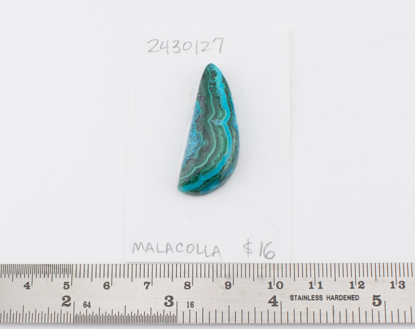 Malacolla
