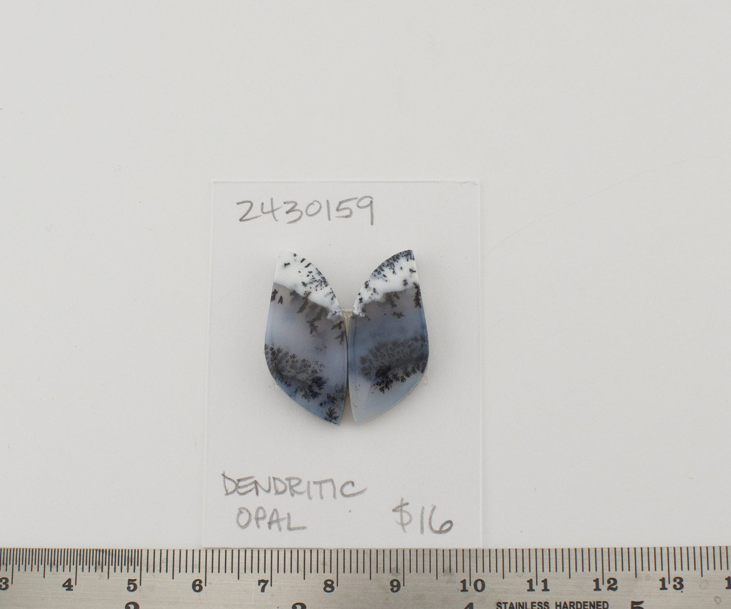 Dendritic Opal