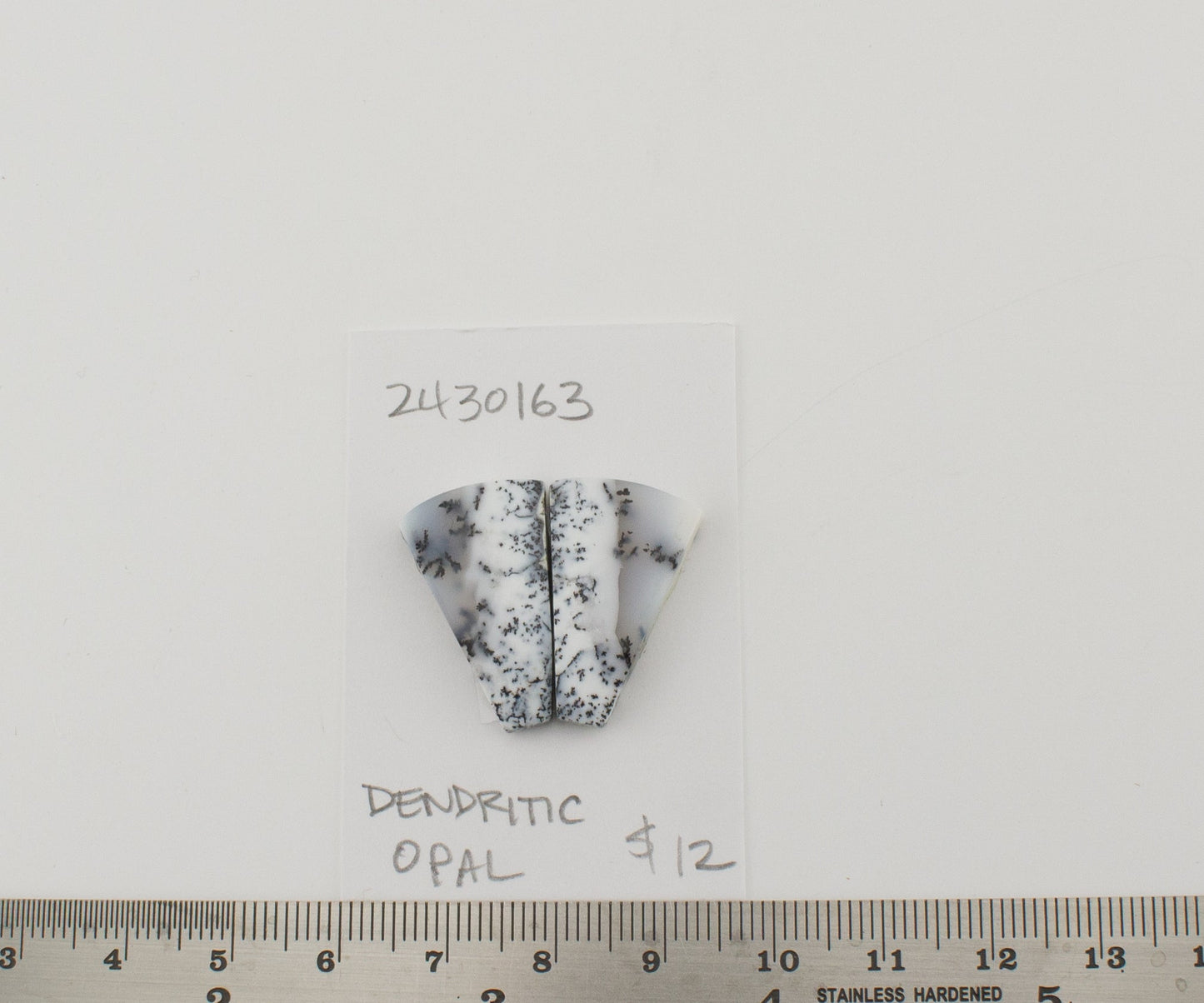 Dendritic Opal