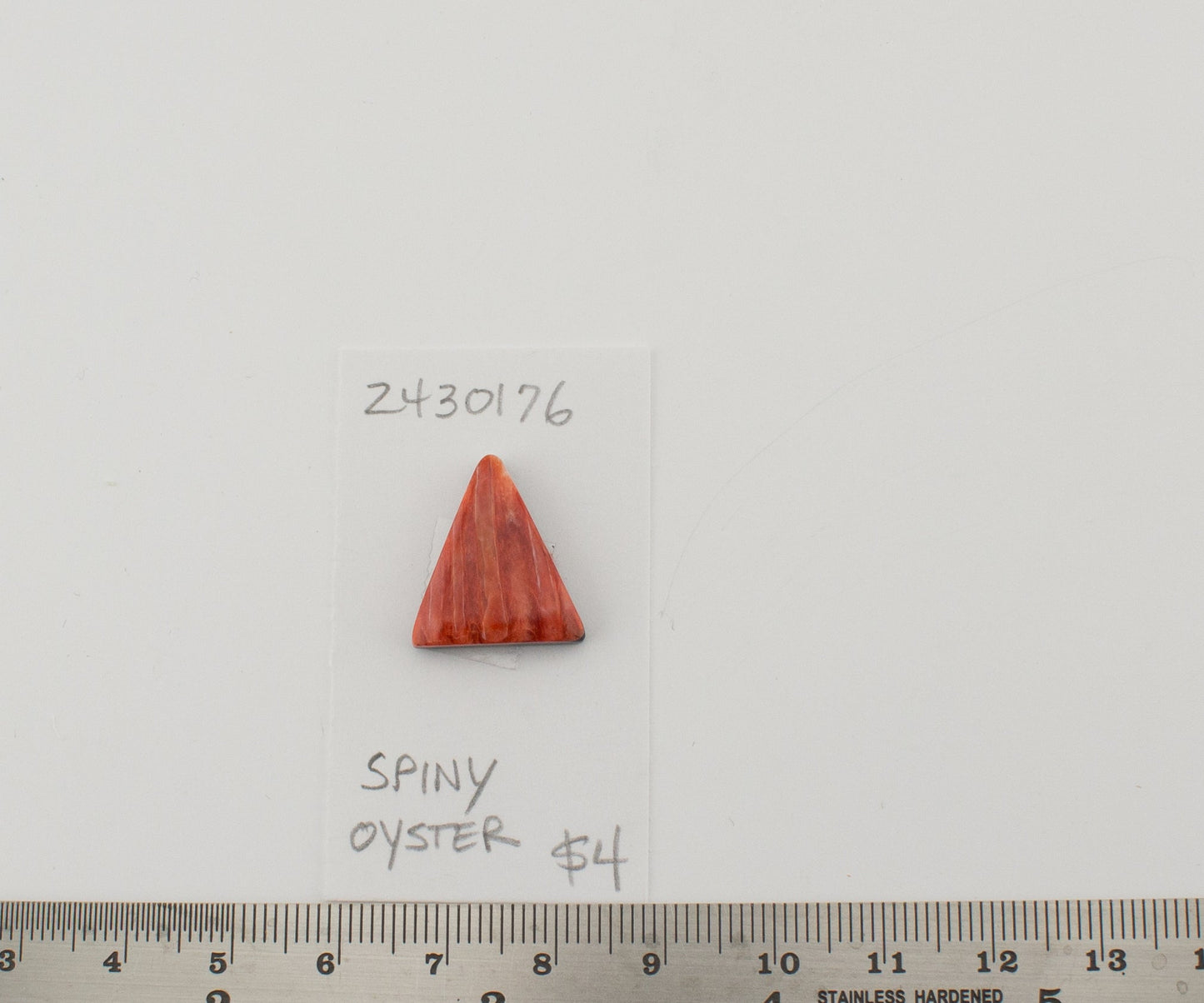 Spiney Oyster