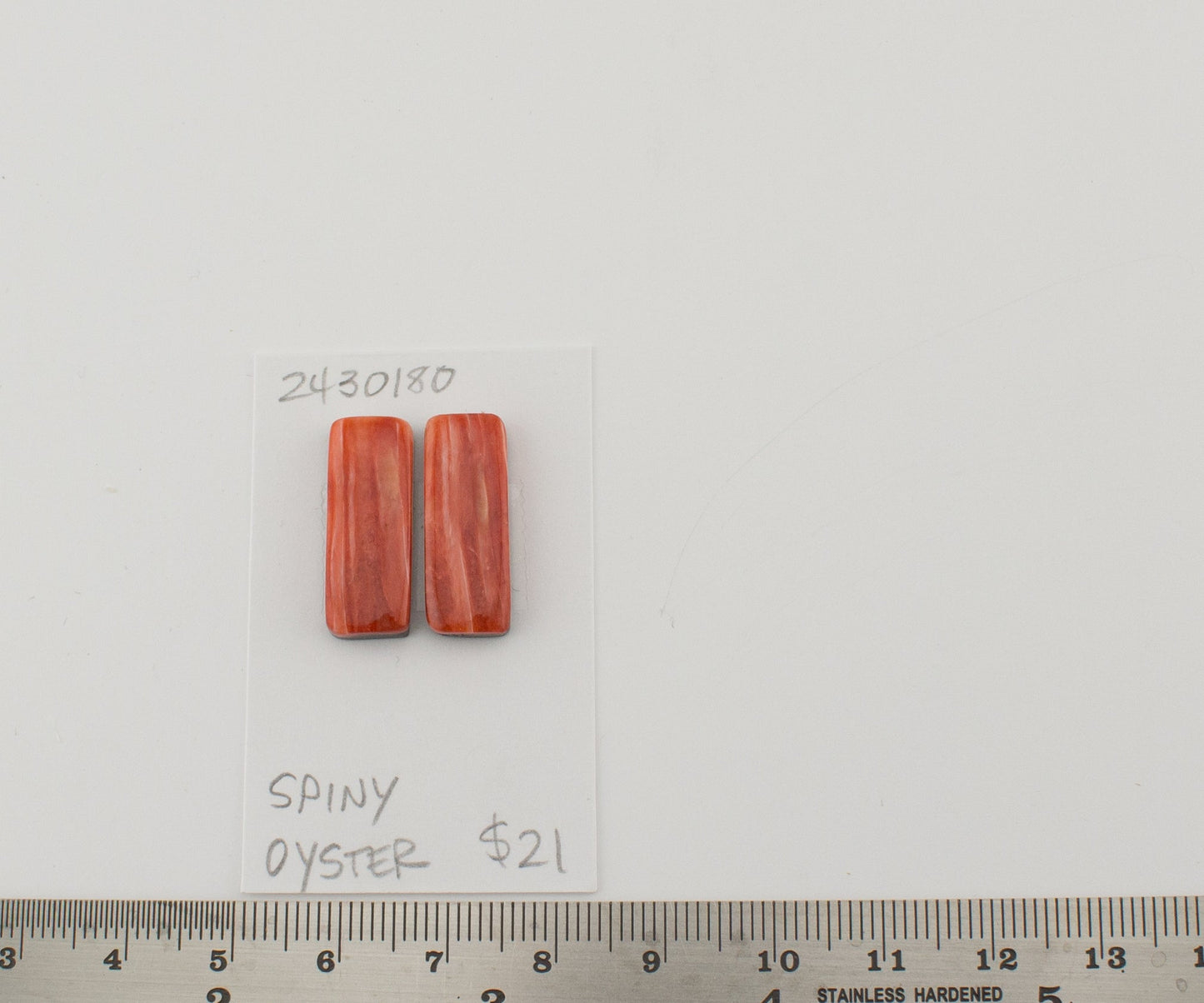 Spiney Oyster