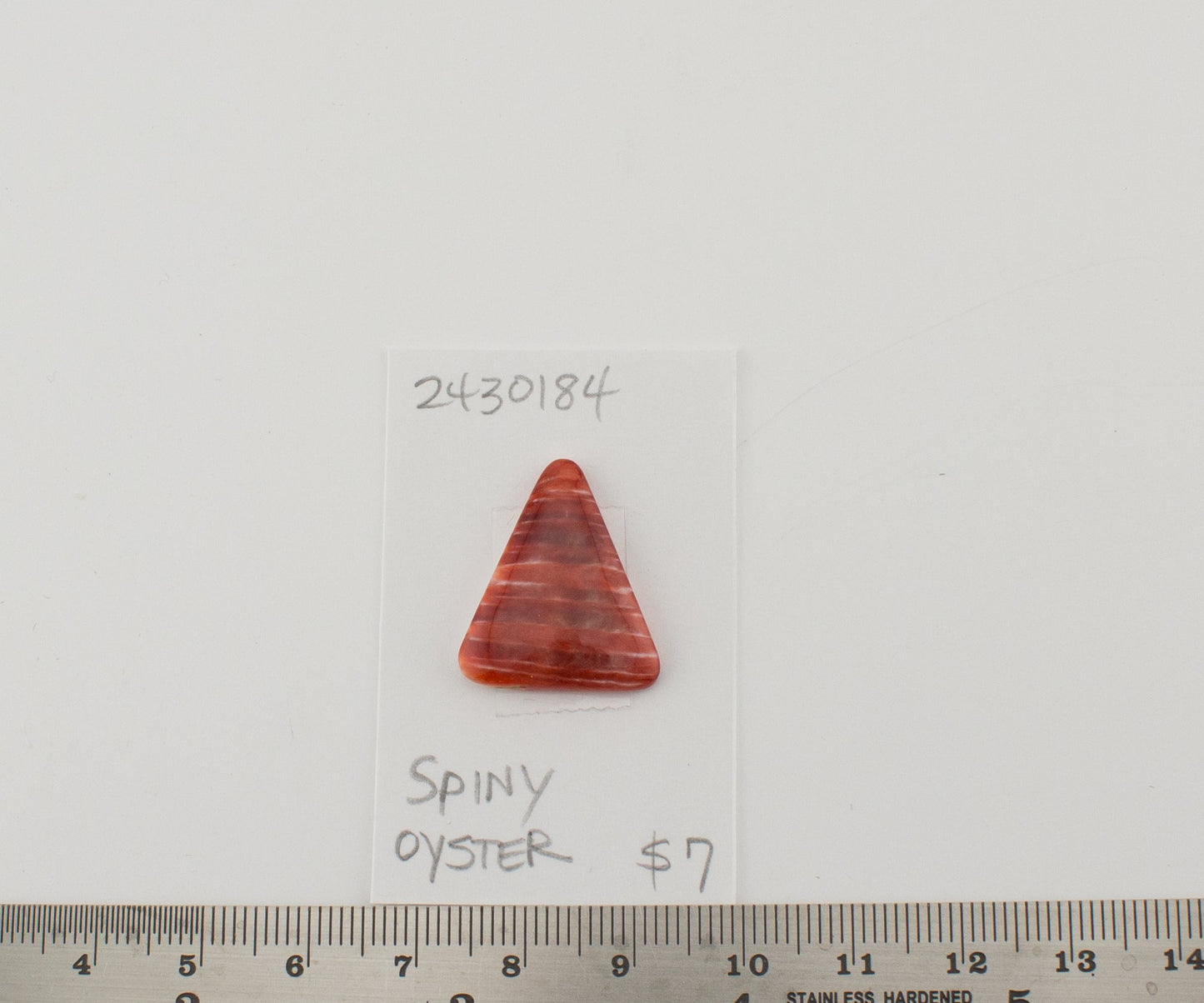 Spiney Oyster