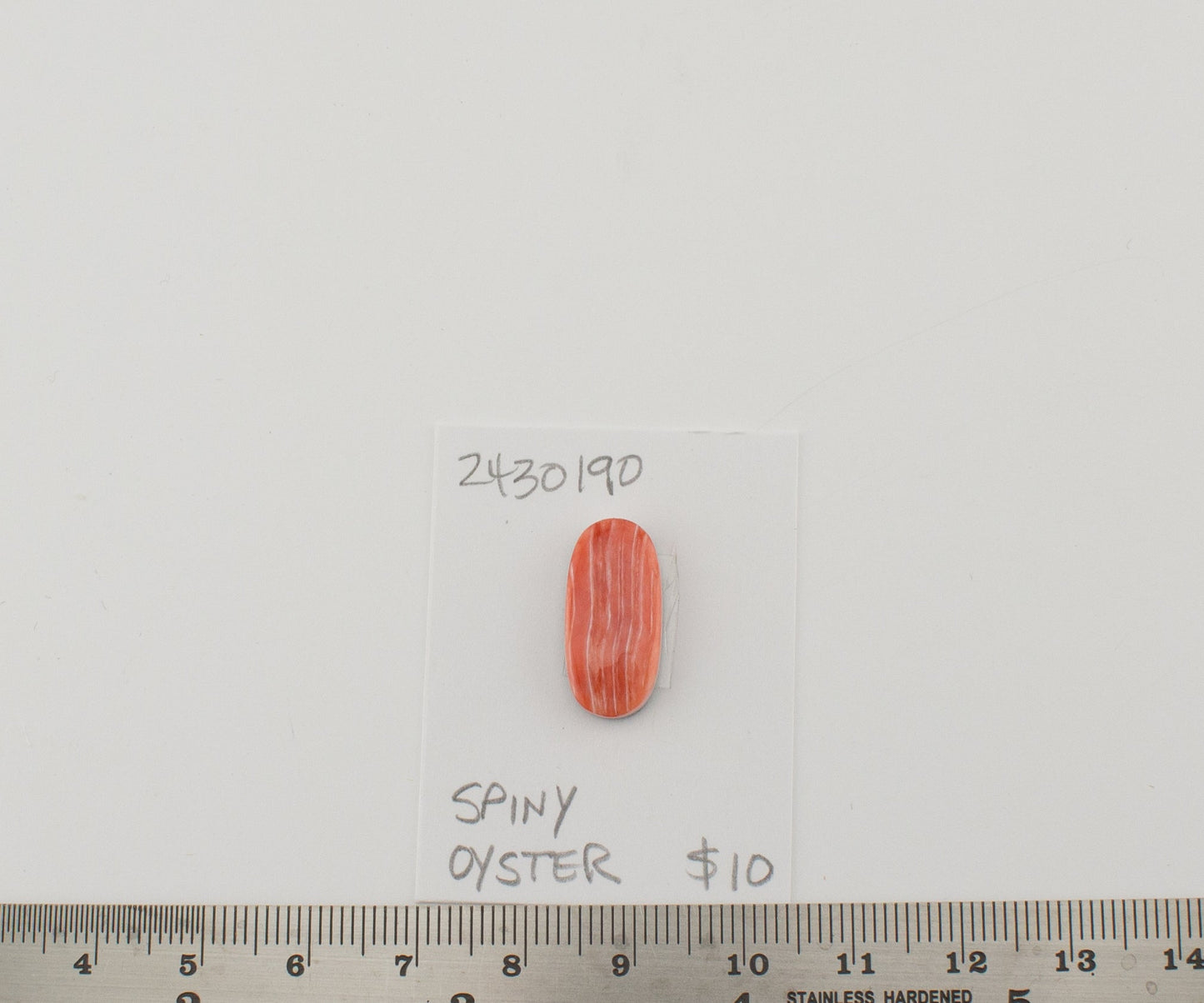 Spiney Oyster