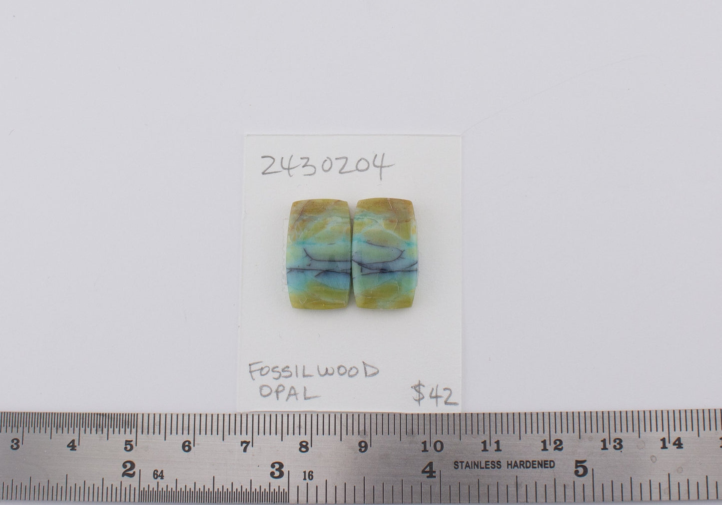 Fossilwood Opal