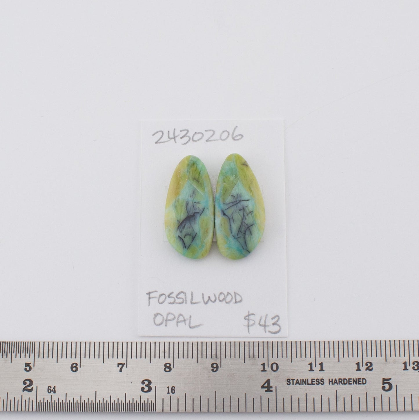 Fossilwood Opal