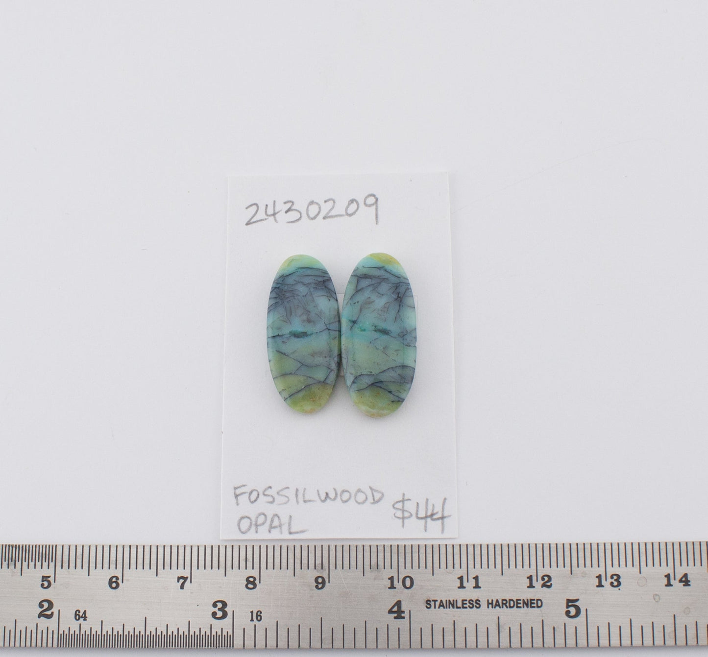 Fossilwood Opal