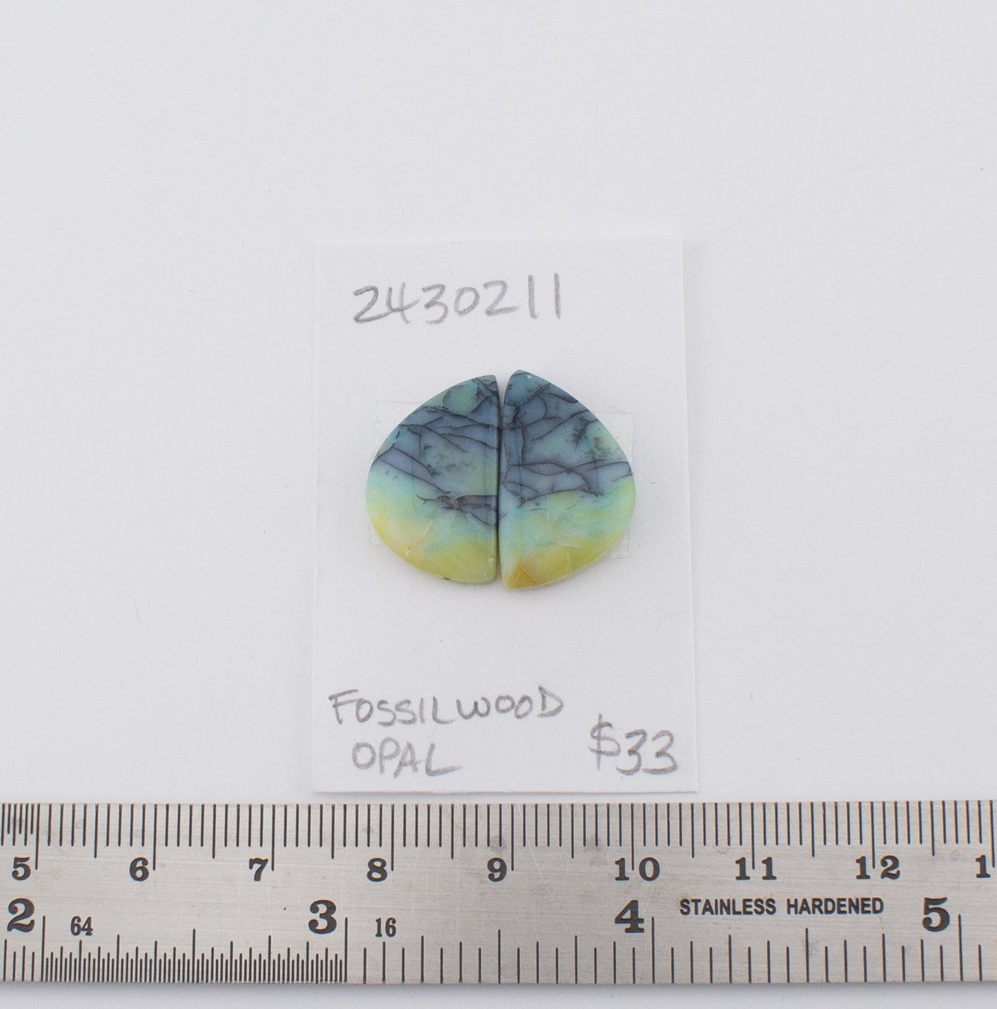 Fossilwood Opal