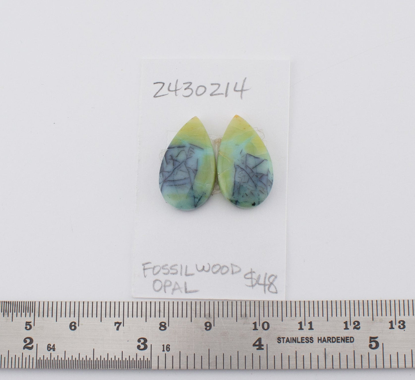 Fossilwood Opal