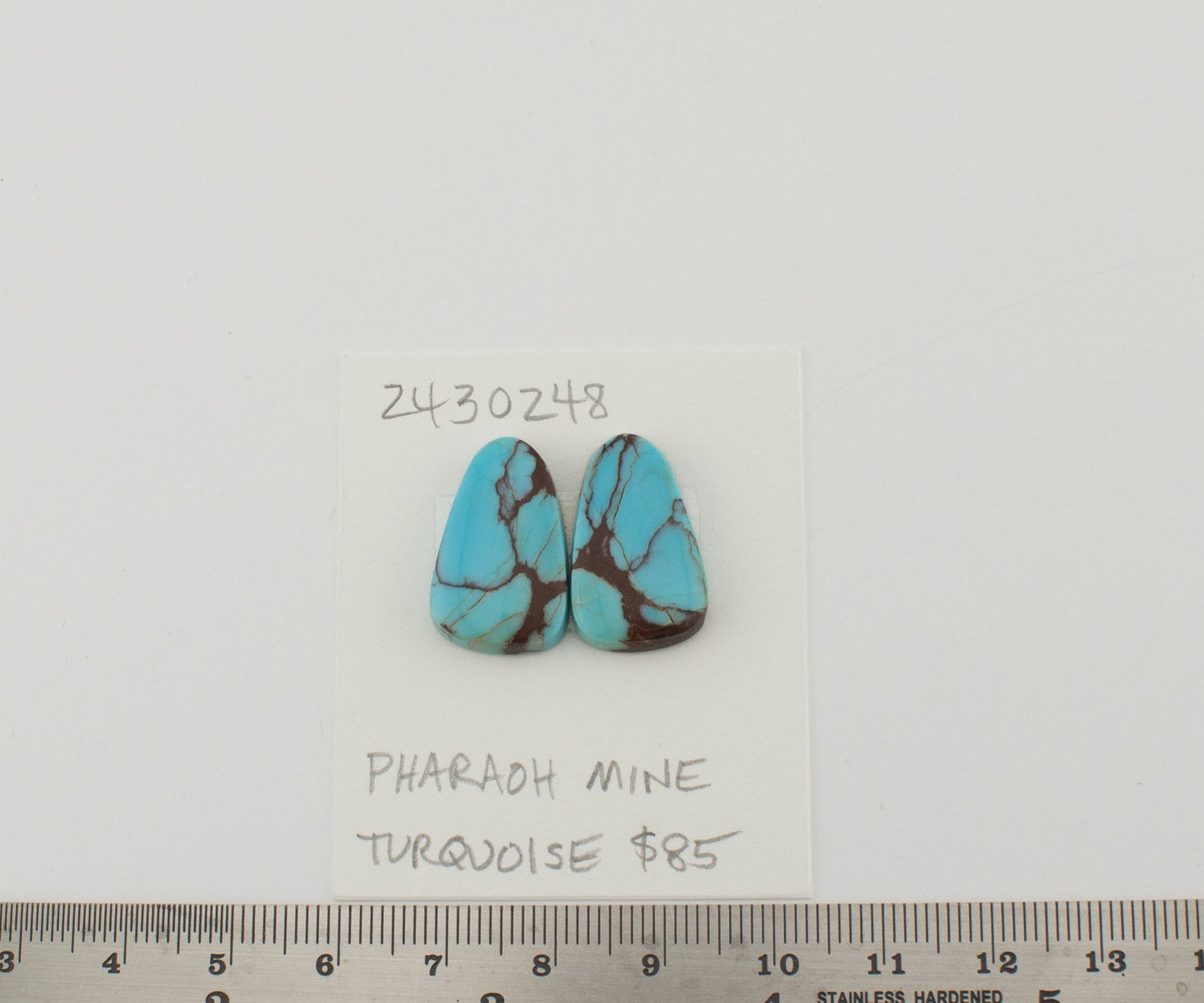 Pharaoh Mine Turquoise