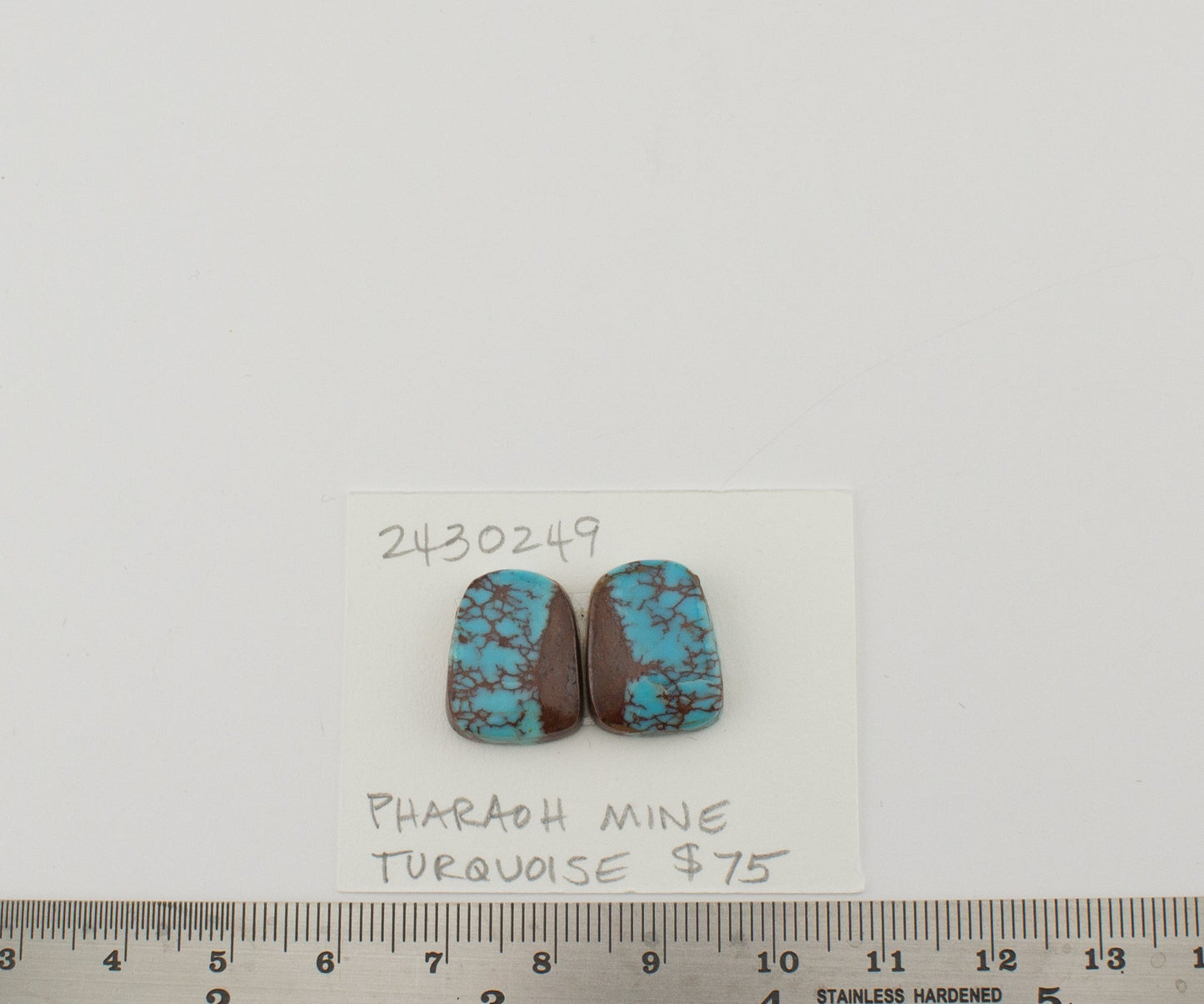 Pharaoh Mine Turquoise