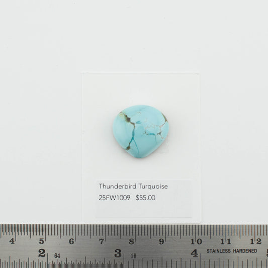 Thunderbird Turquoise