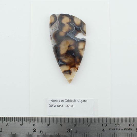 Indonesian Orbicular Agate