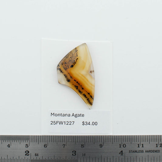 Montana Agate