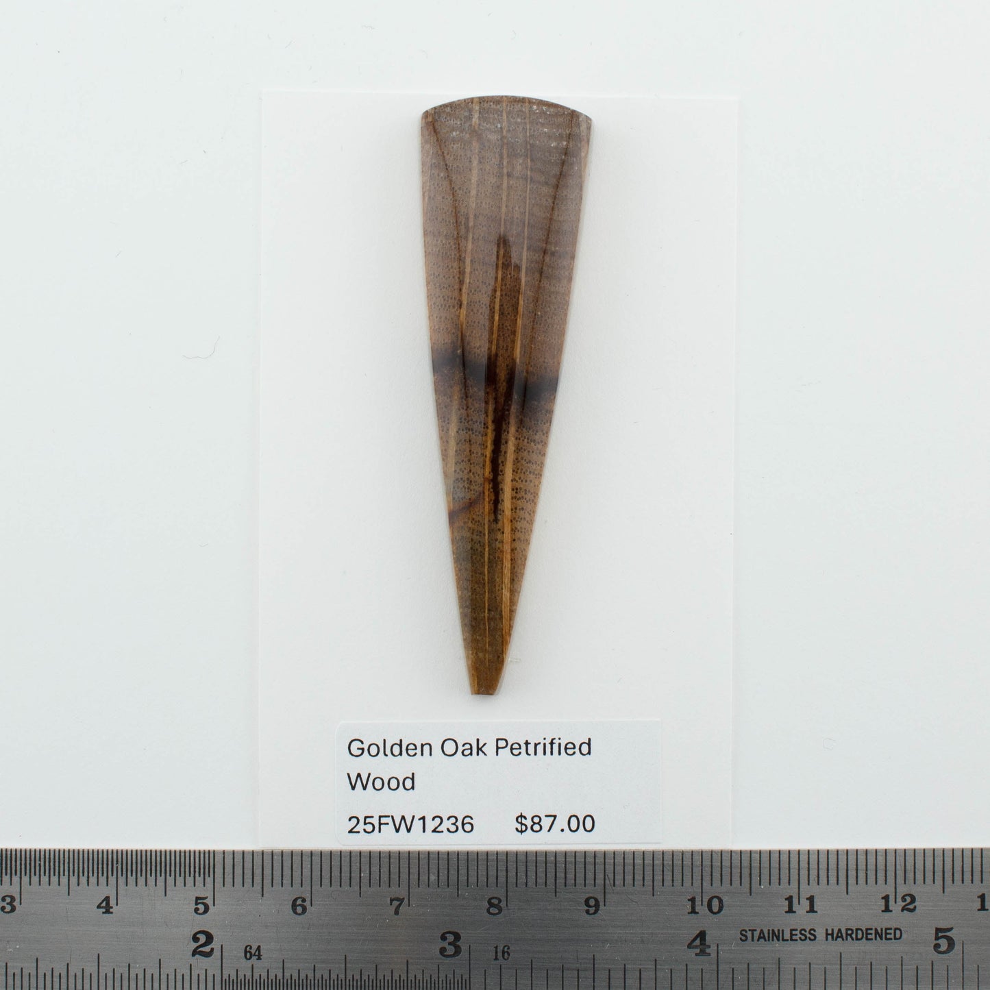 Golden Oak Petrified Wood