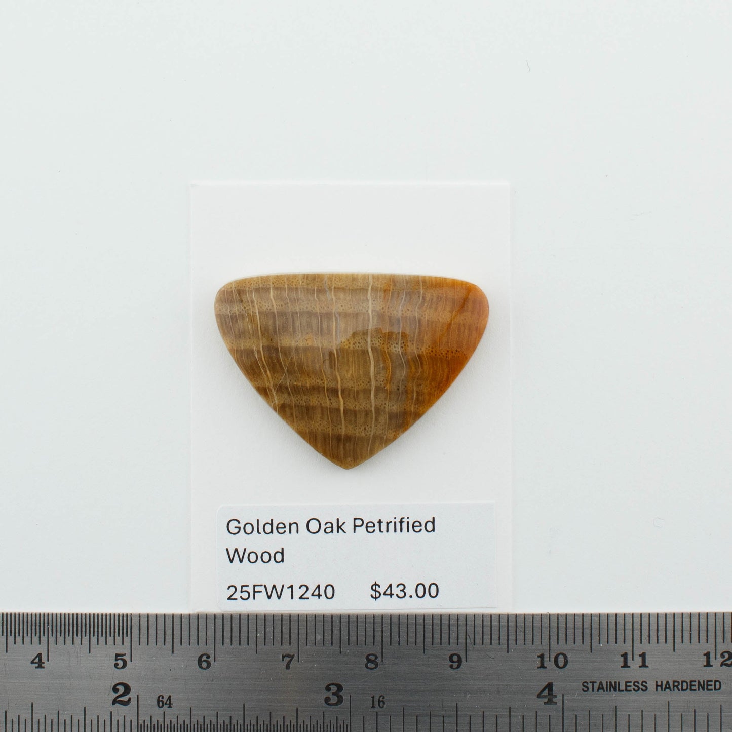 Golden Oak Petrified Wood