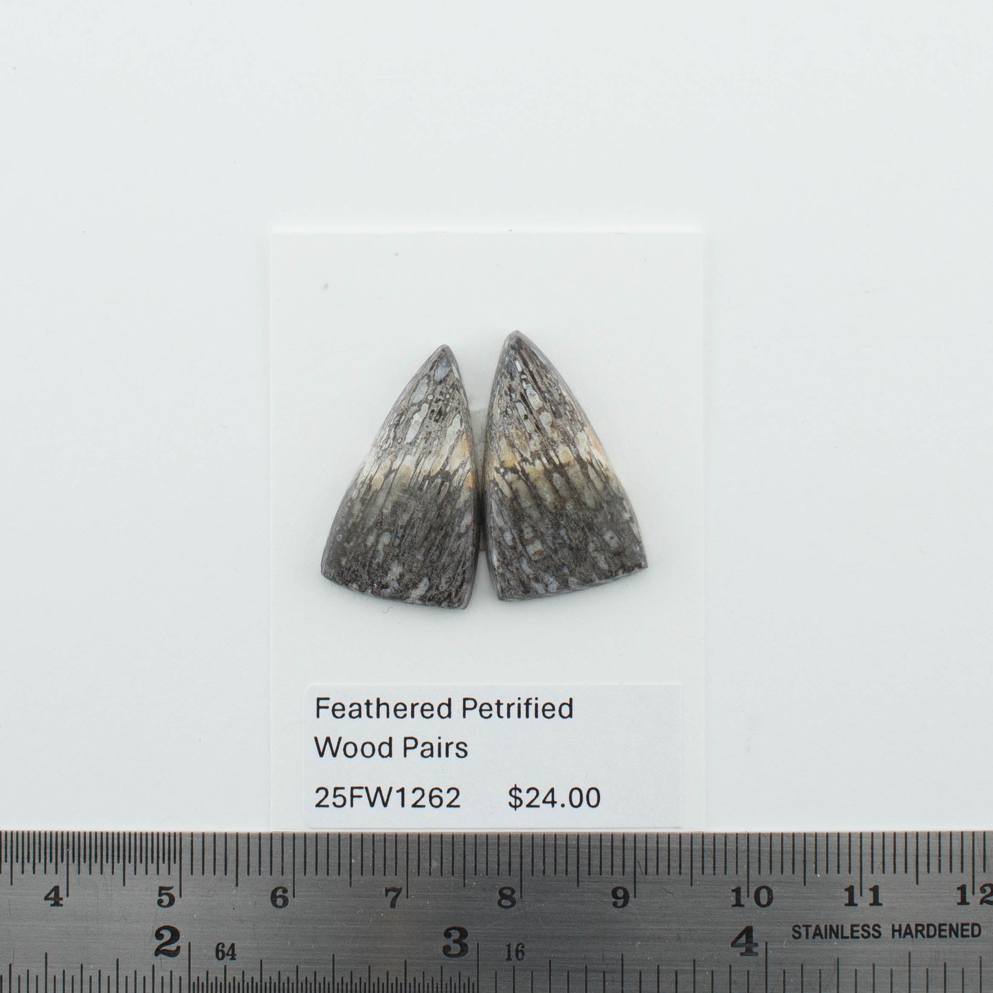 Feather Petrified Wood Pairs