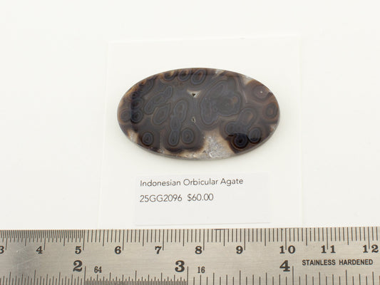 Indonesian Orbicular Agate