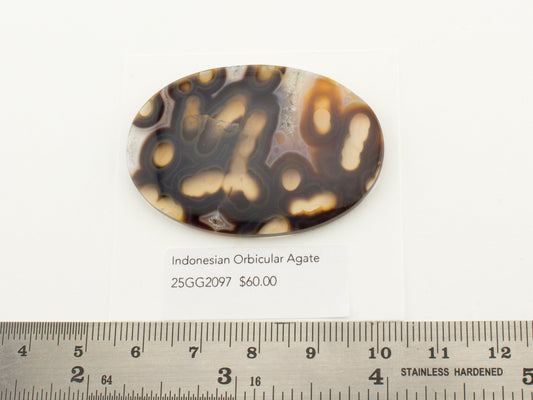 Indonesian Orbicular Agate
