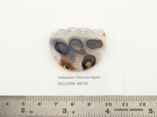 Indonesian Orbicular Agate