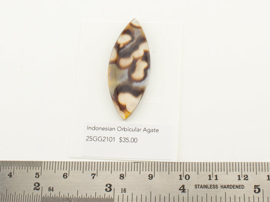 Indonesian Orbicular Agate