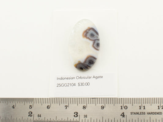 Indonesian Orbicular Agate
