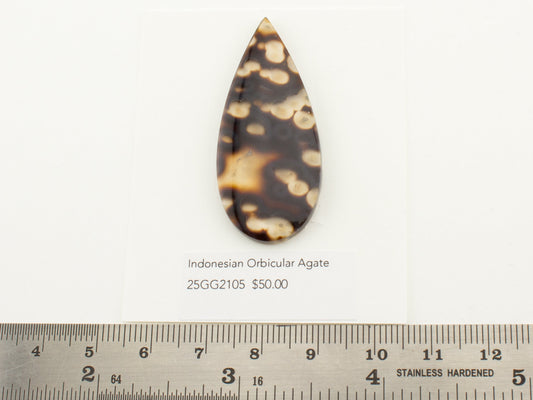 Indonesian Orbicular Agate