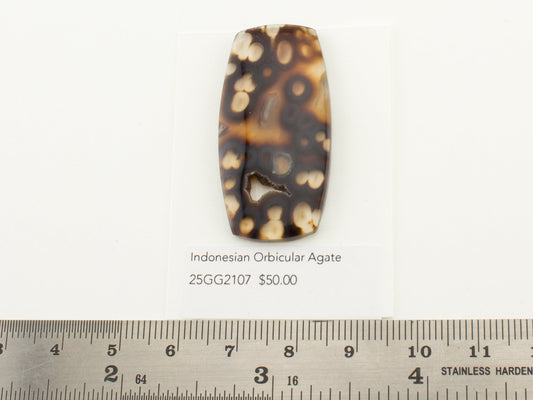 Indonesian Orbicular Agate