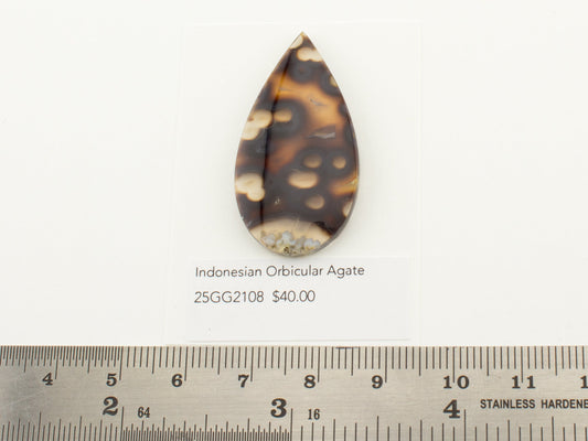 Indonesian Orbicular Agate