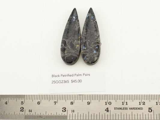 Black Petrified Palm Pairs