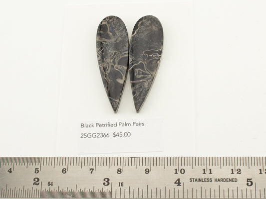 Black Petrified Palm Pairs
