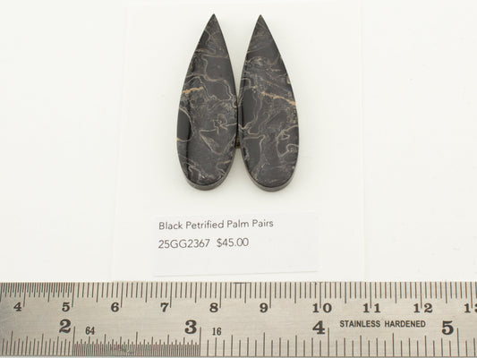 Black Petrified Palm Pairs