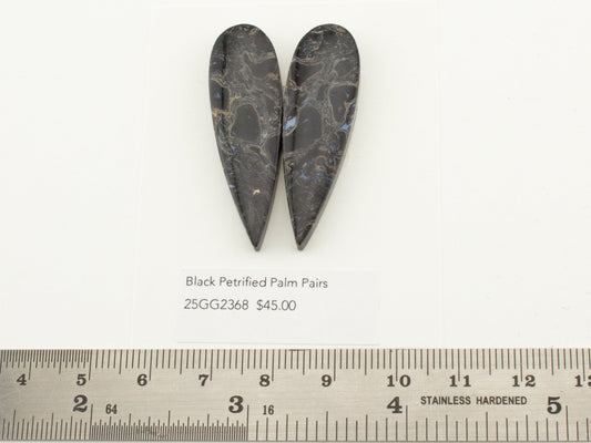 Black Petrified Palm Pairs