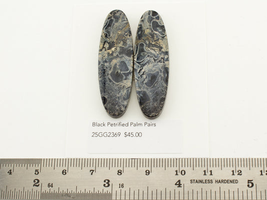 Black Petrified Palm Pairs