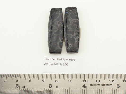 Black Petrified Palm Pairs