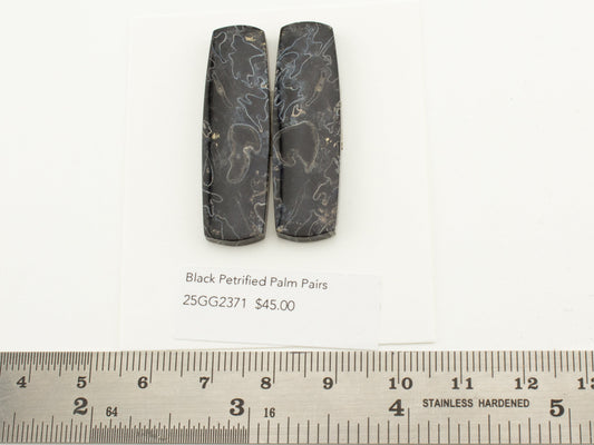 Black Petrified Palm Pairs