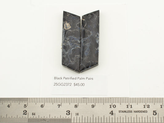 Black Petrified Palm Pairs