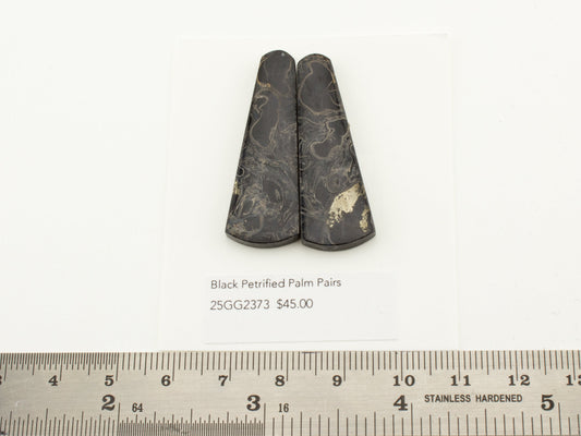 Black Petrified Palm Pairs