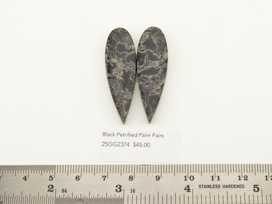Black Petrified Palm Pairs