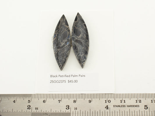 Black Petrified Palm Pairs