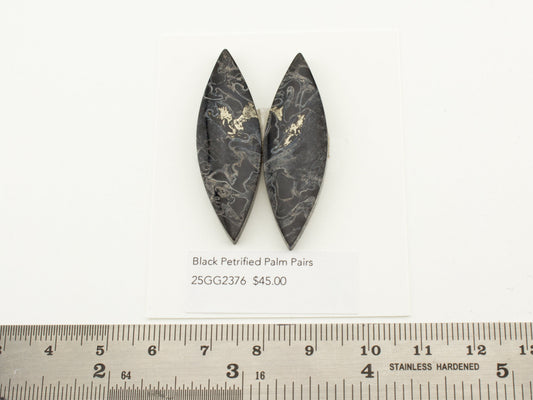 Black Petrified Palm Pairs