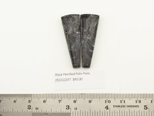 Black Petrified Palm Pairs