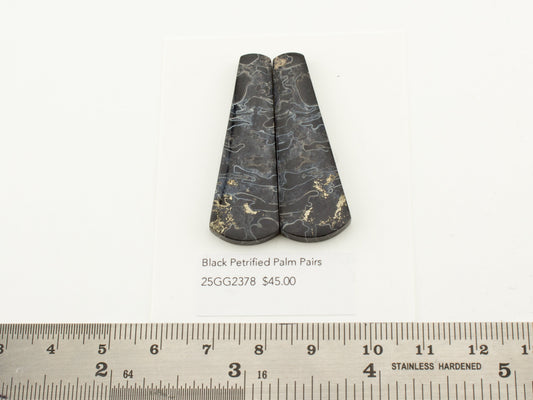 Black Petrified Palm Pairs