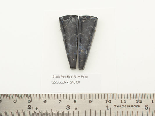 Black Petrified Palm Pairs