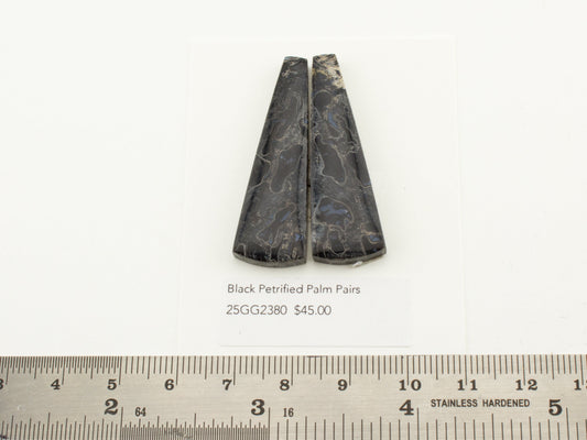 Black Petrified Palm Pairs