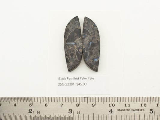 Black Petrified Palm Pairs