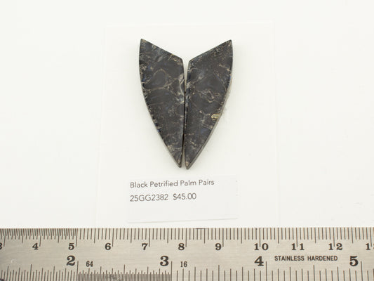 Black Petrified Palm Pairs